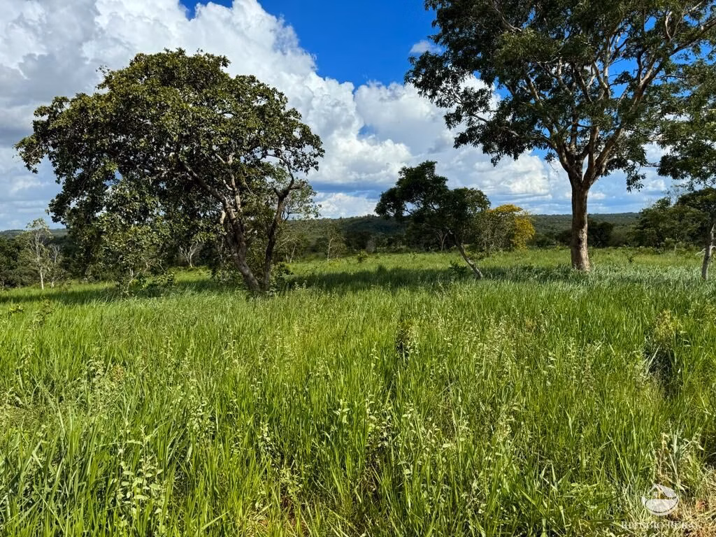 Farm of 4,784 acres in General Carneiro, MT, Brazil