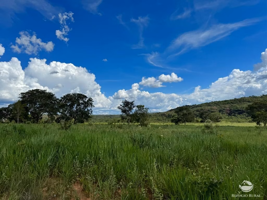 Farm of 4,784 acres in General Carneiro, MT, Brazil
