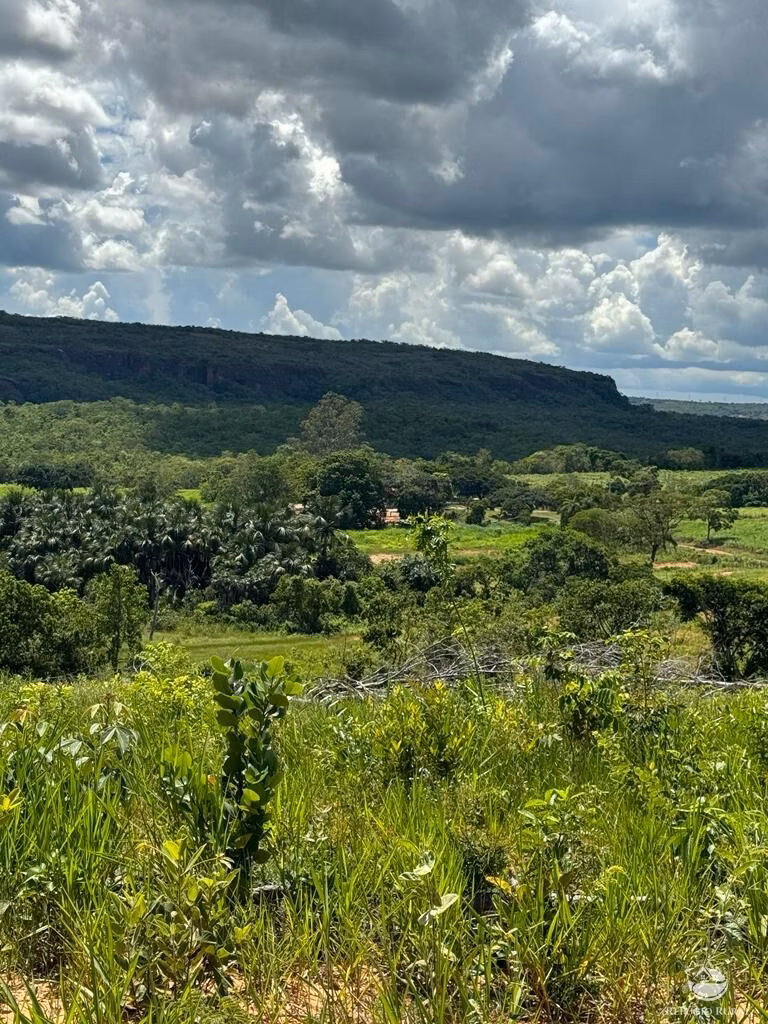 Farm of 4,784 acres in General Carneiro, MT, Brazil