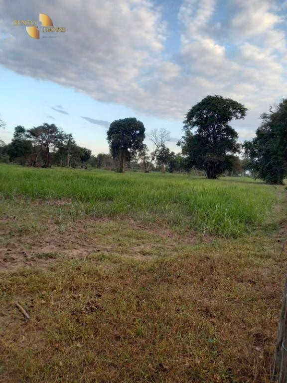 Fazenda de 3.498 ha em Barra do Bugres, MT