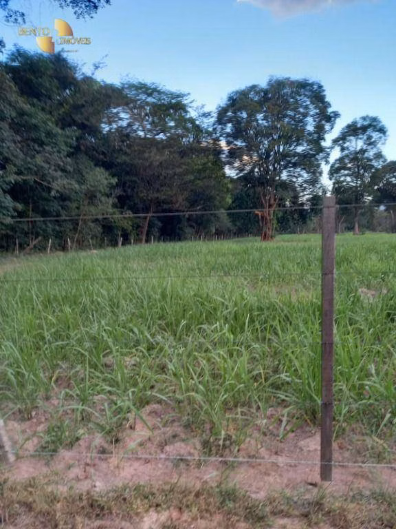 Fazenda de 3.498 ha em Barra do Bugres, MT