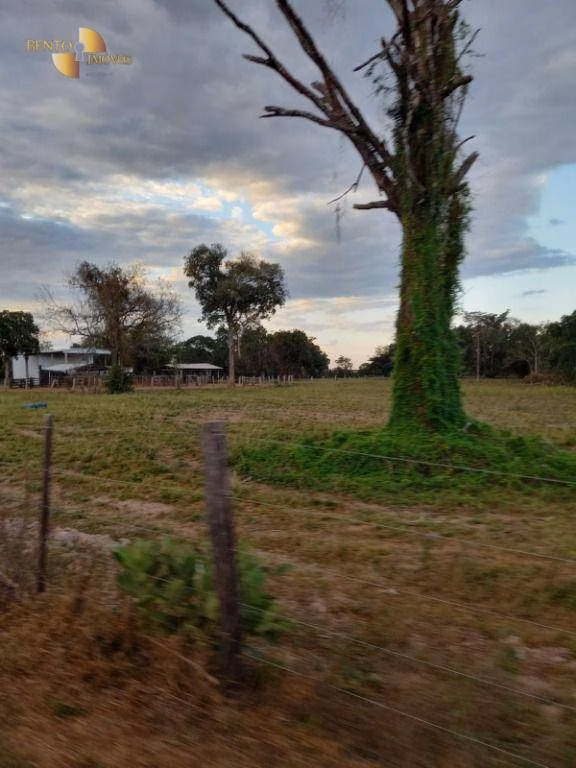 Fazenda de 3.498 ha em Barra do Bugres, MT