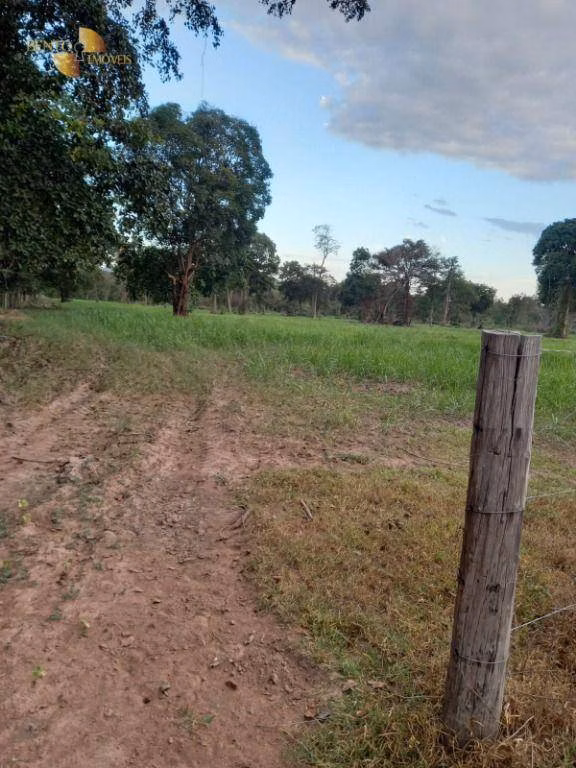 Fazenda de 3.498 ha em Barra do Bugres, MT
