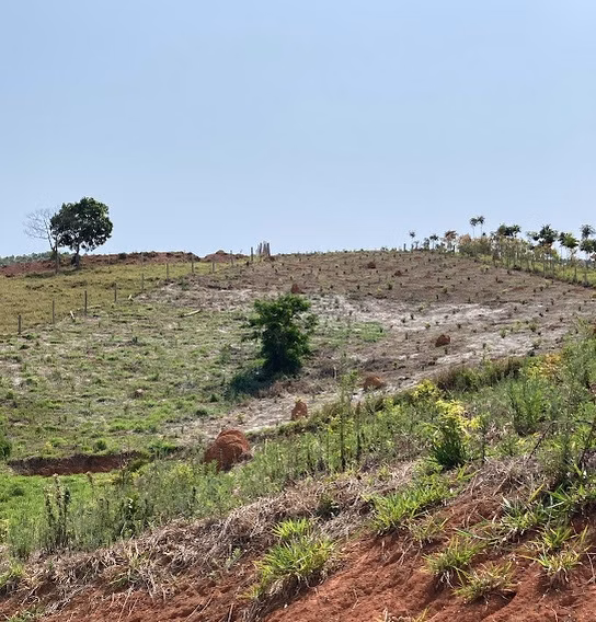 Small farm of 5 acres in Natividade da Serra, SP, Brazil