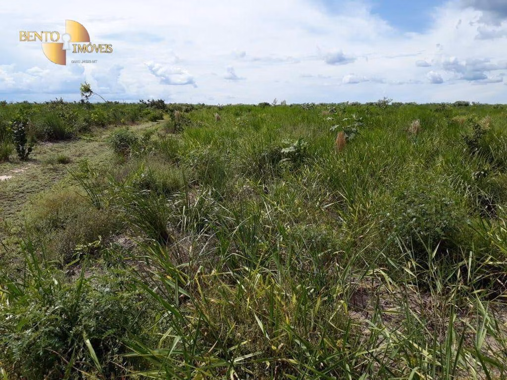 Fazenda de 4.500 ha em Brasnorte, MT
