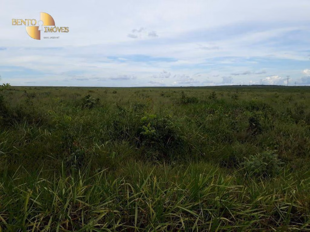 Fazenda de 4.500 ha em Brasnorte, MT