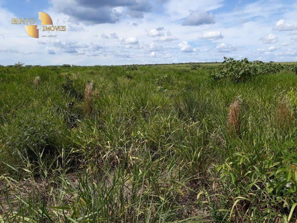 Fazenda de 4.500 ha em Brasnorte, MT
