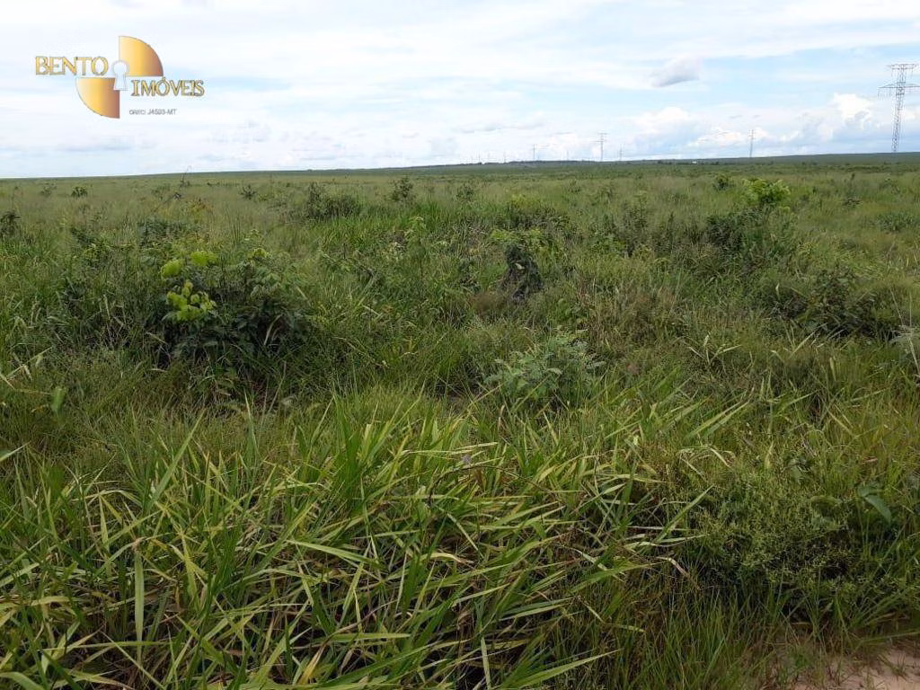 Fazenda de 4.500 ha em Brasnorte, MT