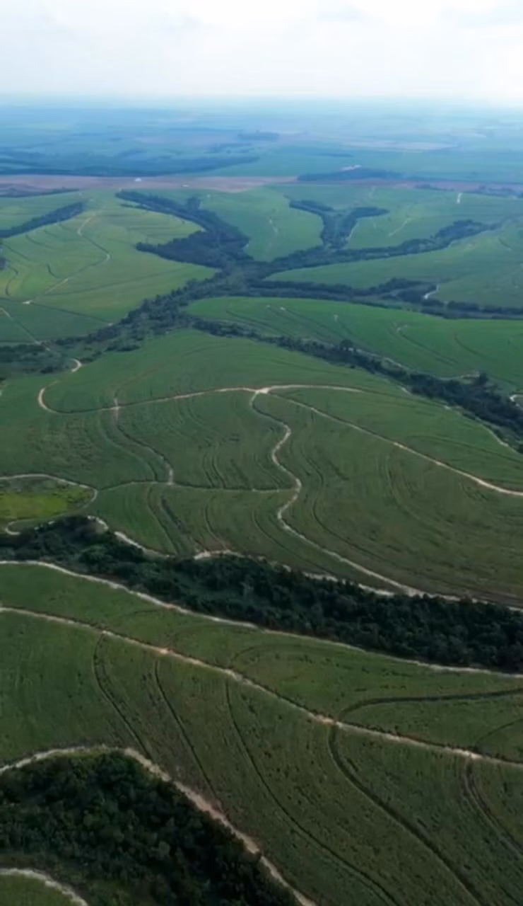 Farm of 957 acres in Porto Feliz, SP, Brazil
