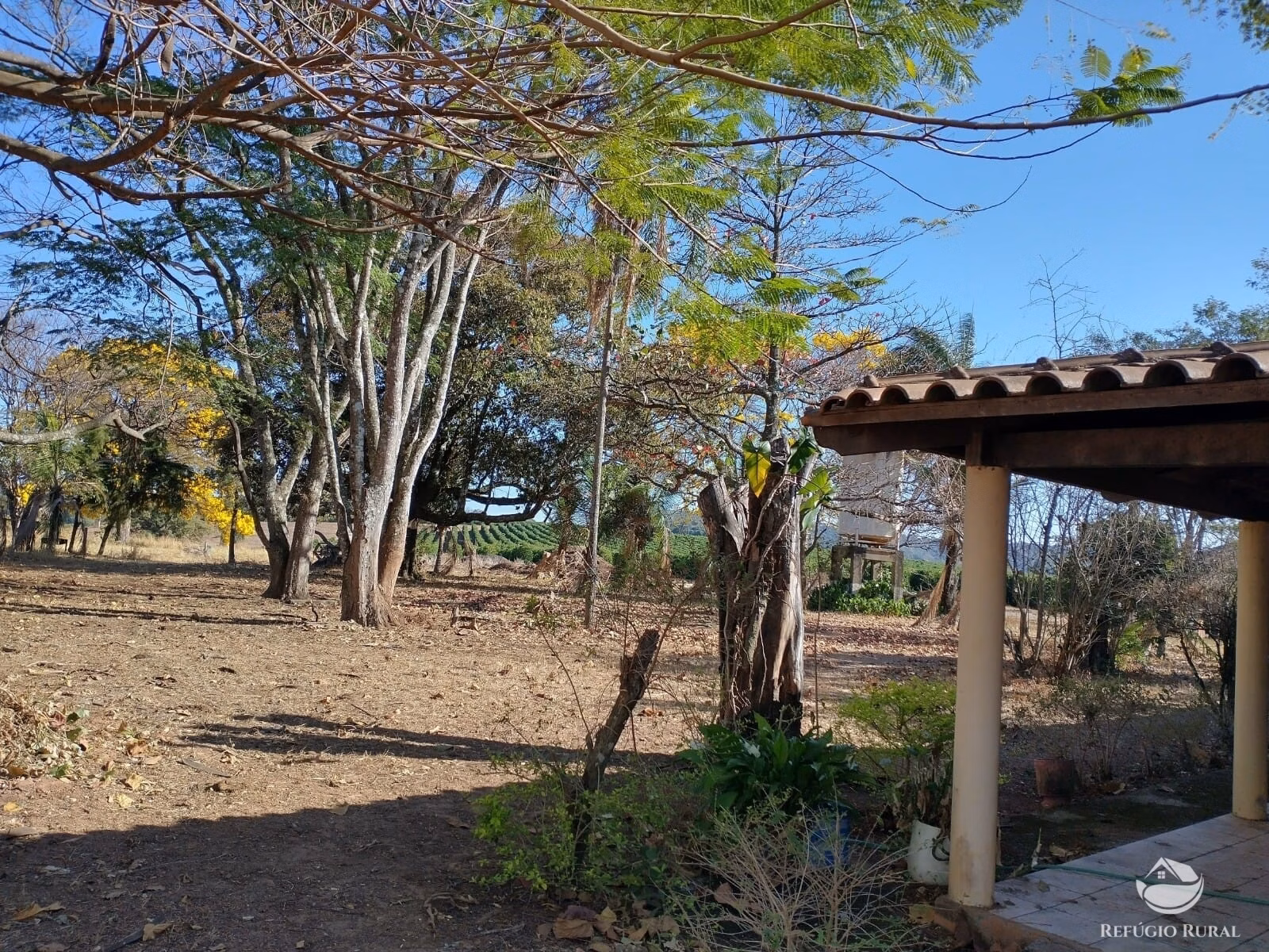Fazenda de 265 ha em Patos de Minas, MG