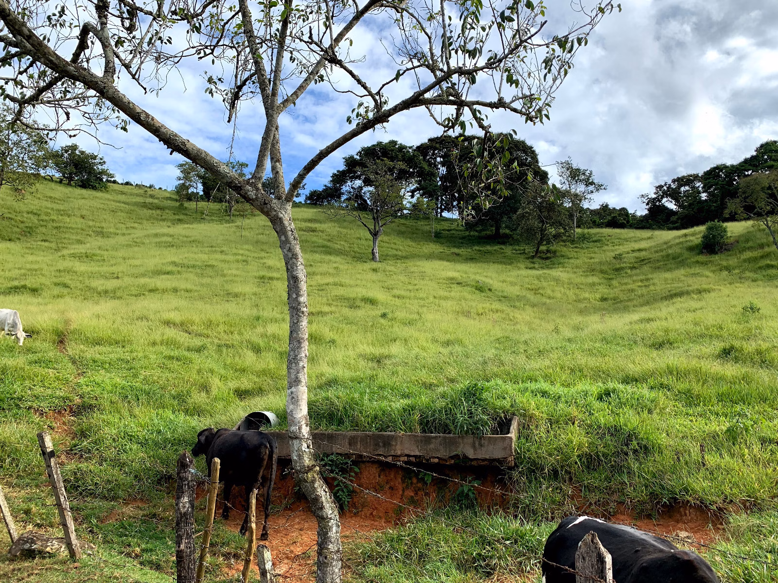 Sítio de 4 ha em Lambari, MG