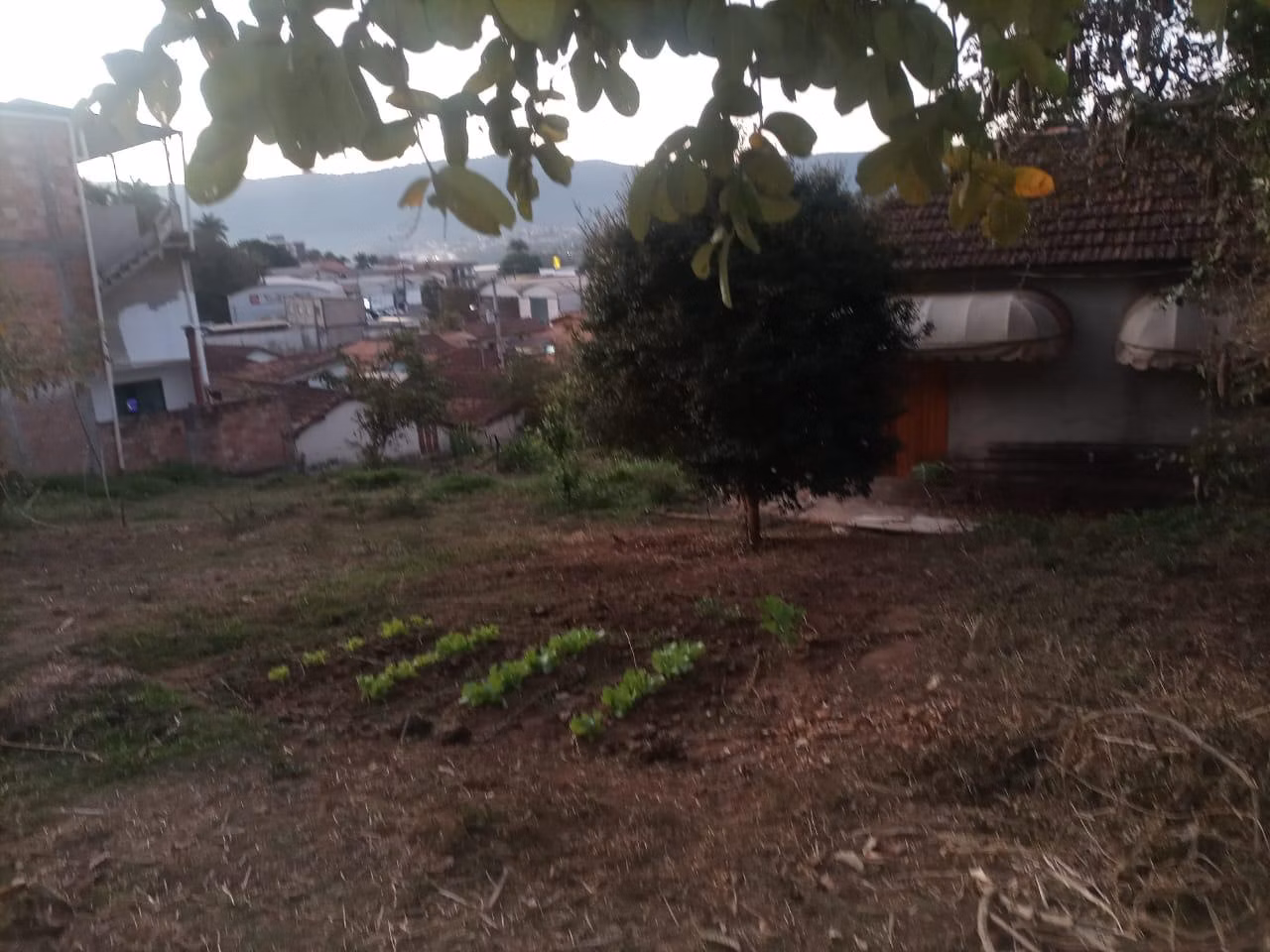 Sítio de 4 ha em Lambari, MG
