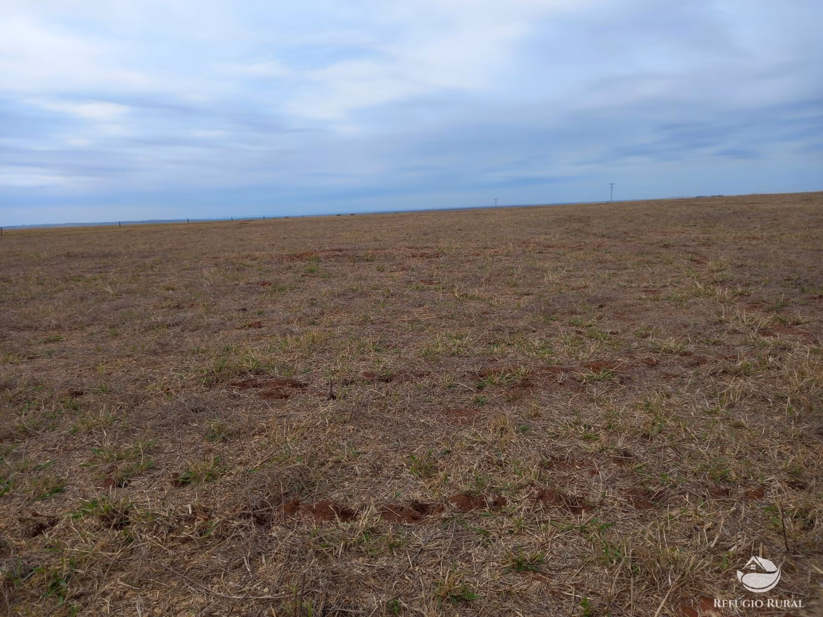 Fazenda de 630 ha em Juscimeira, MT