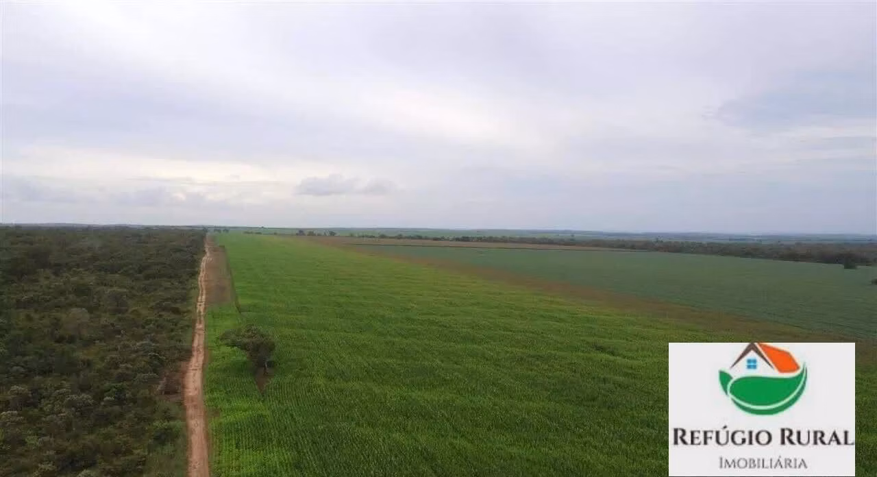 Fazenda de 3.290 ha em Darcinópolis, TO