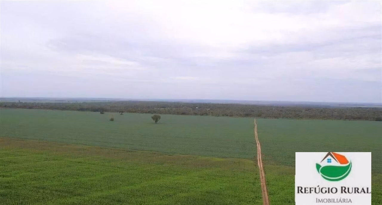 Fazenda de 3.290 ha em Darcinópolis, TO