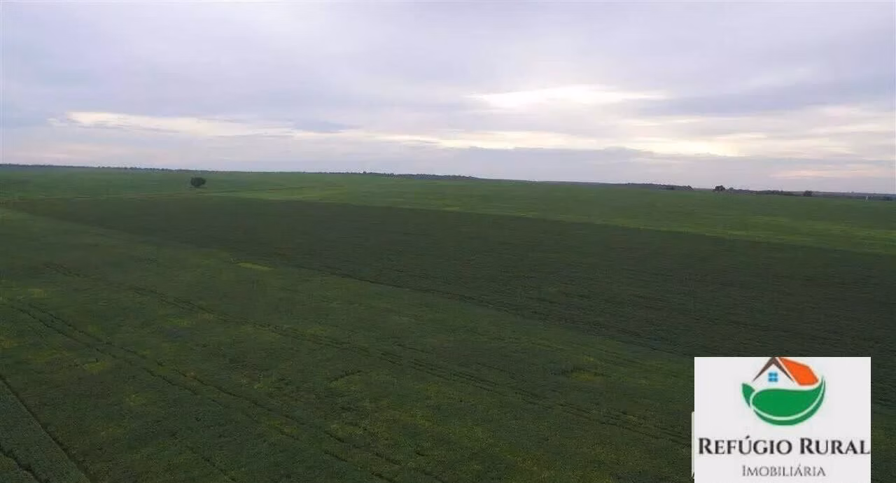 Fazenda de 3.290 ha em Darcinópolis, TO