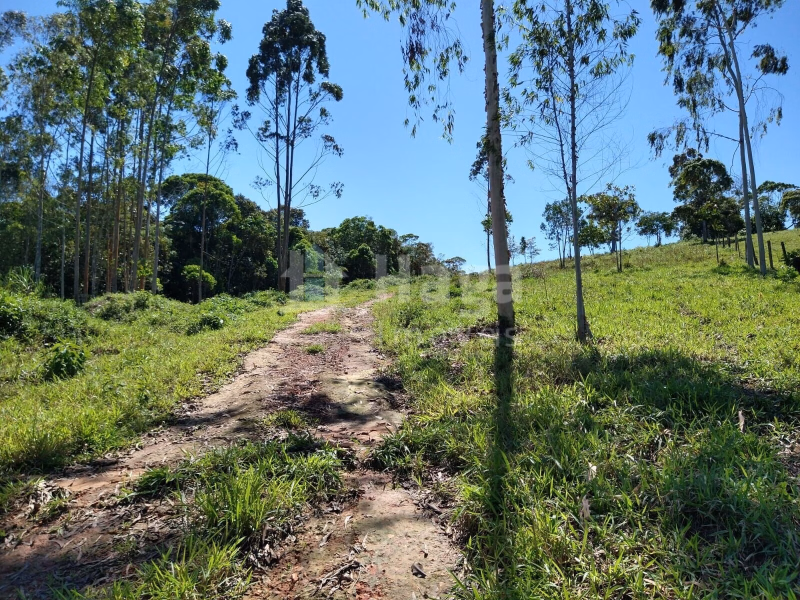 Country home of 4 acres in Ilhota, SC, Brazil