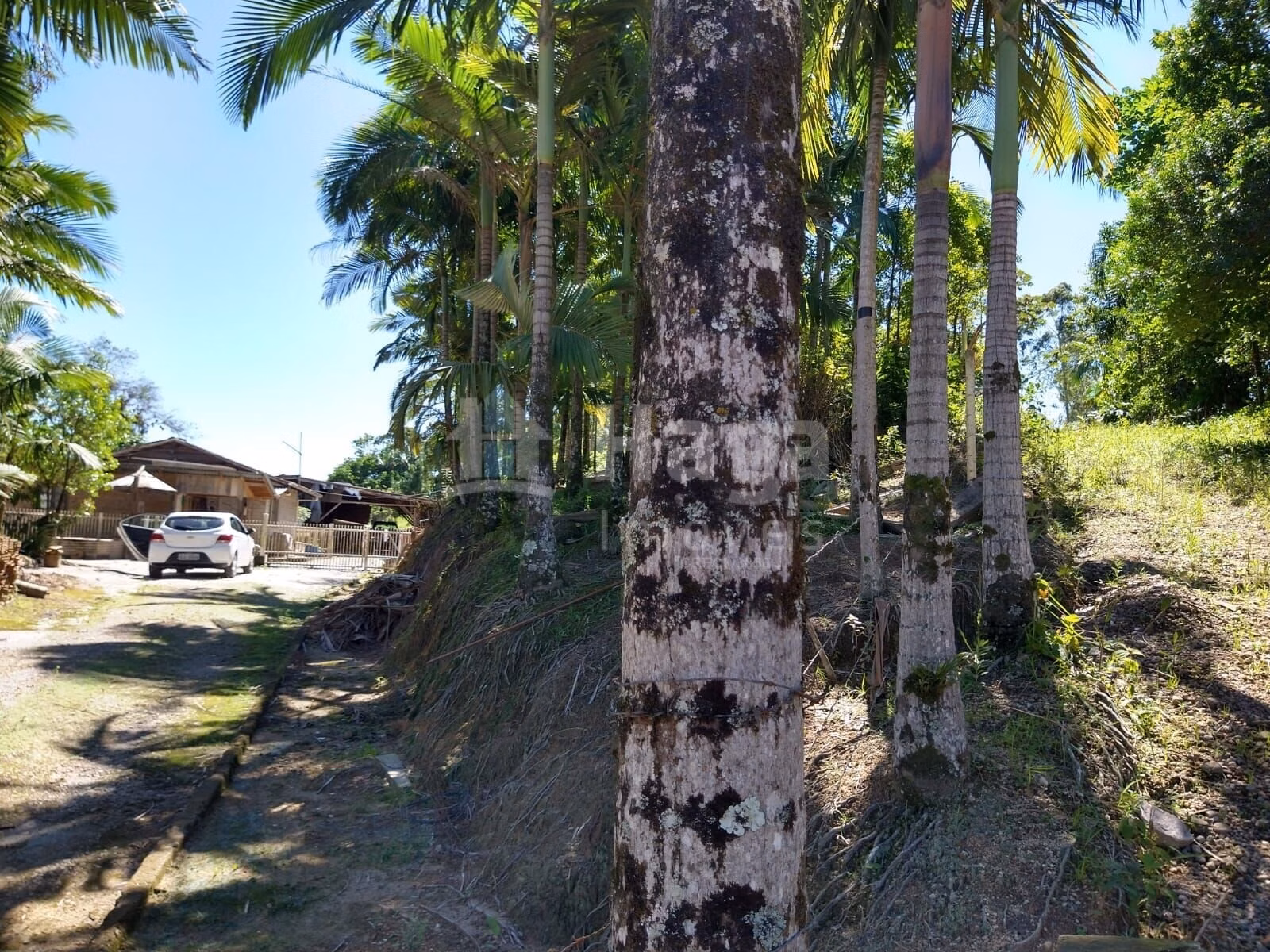 Country home of 4 acres in Ilhota, SC, Brazil