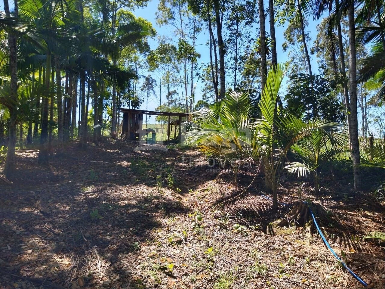 Country home of 4 acres in Ilhota, SC, Brazil