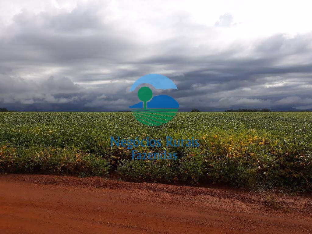 Fazenda de 827 ha em Gurupi, TO