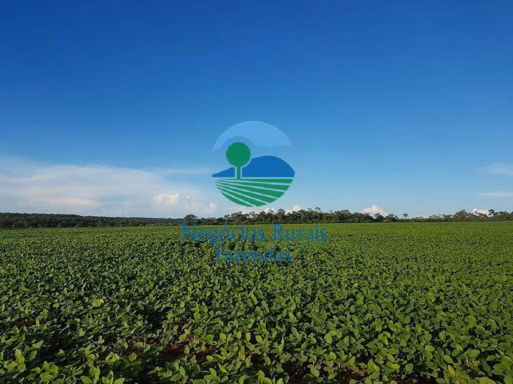 Fazenda de 827 ha em Gurupi, TO
