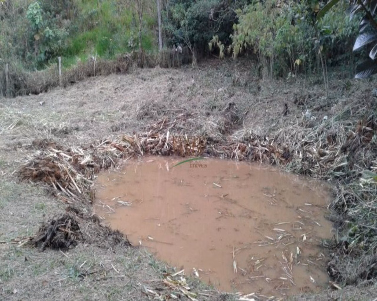 Chácara de 3 ha em Monteiro Lobato, SP