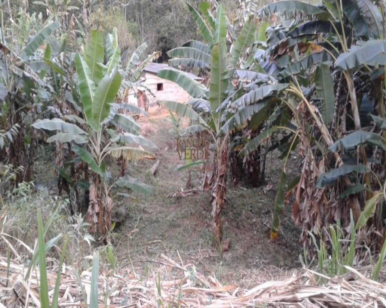 Chácara de 3 ha em Monteiro Lobato, SP