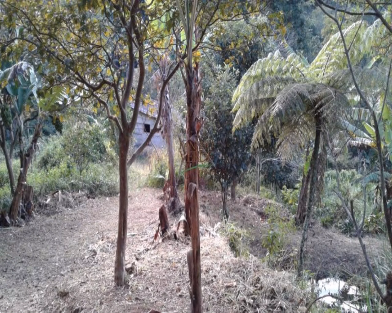 Chácara de 3 ha em Monteiro Lobato, SP