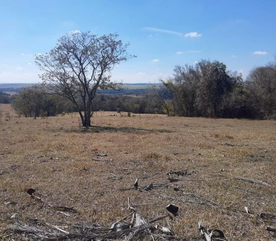 Small farm of 185 acres in Anhembi, SP, Brazil