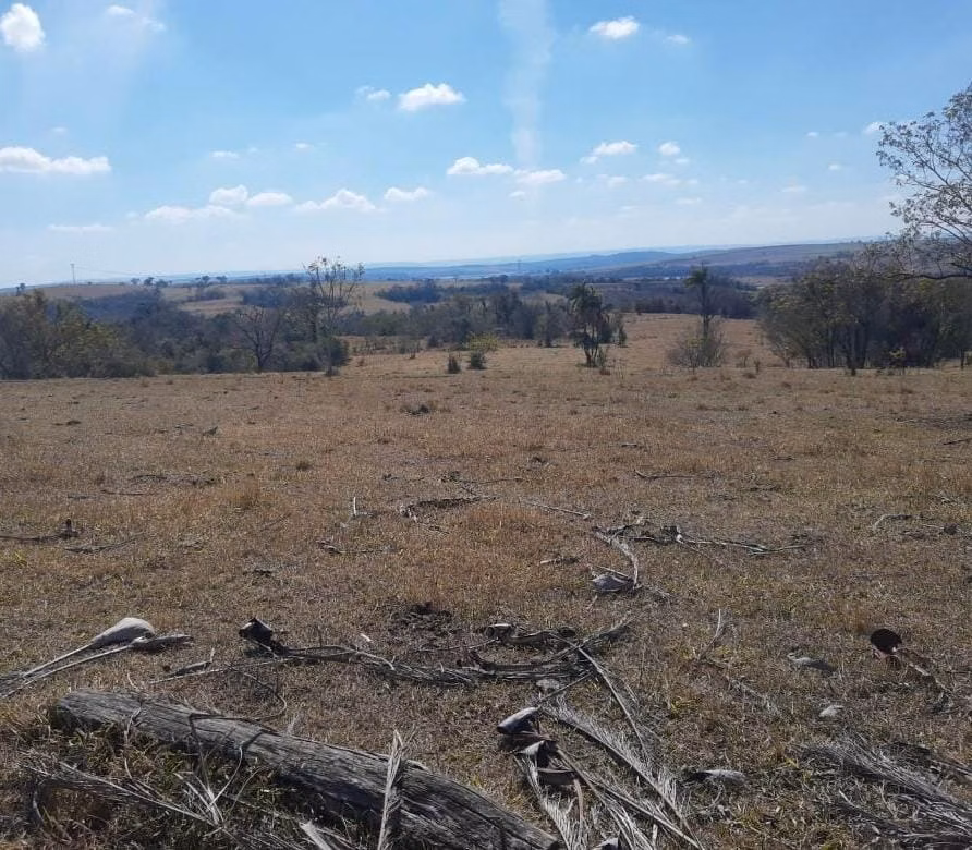 Small farm of 185 acres in Anhembi, SP, Brazil