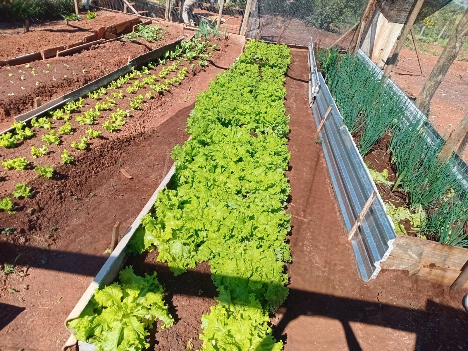 Pousada de 4.000 m² em Timburi, SP