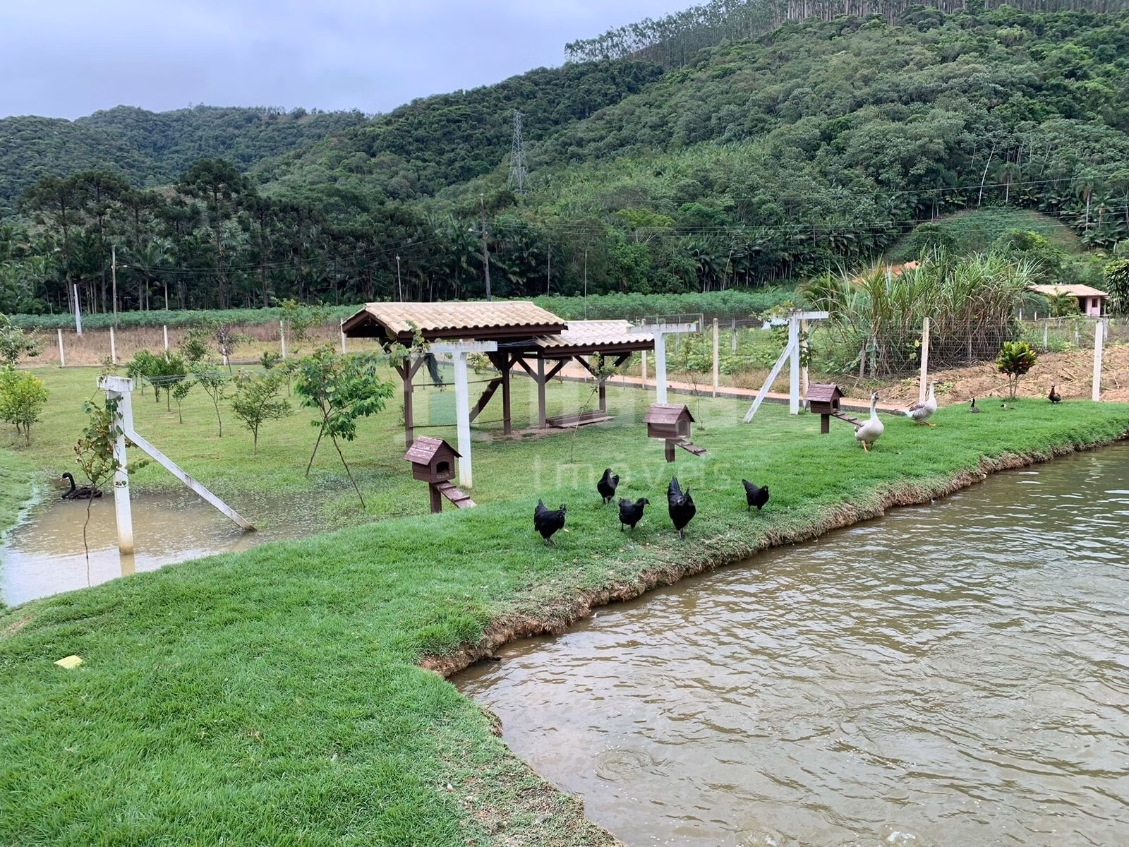 Country home of 4 acres in Major Gercino, SC, Brazil