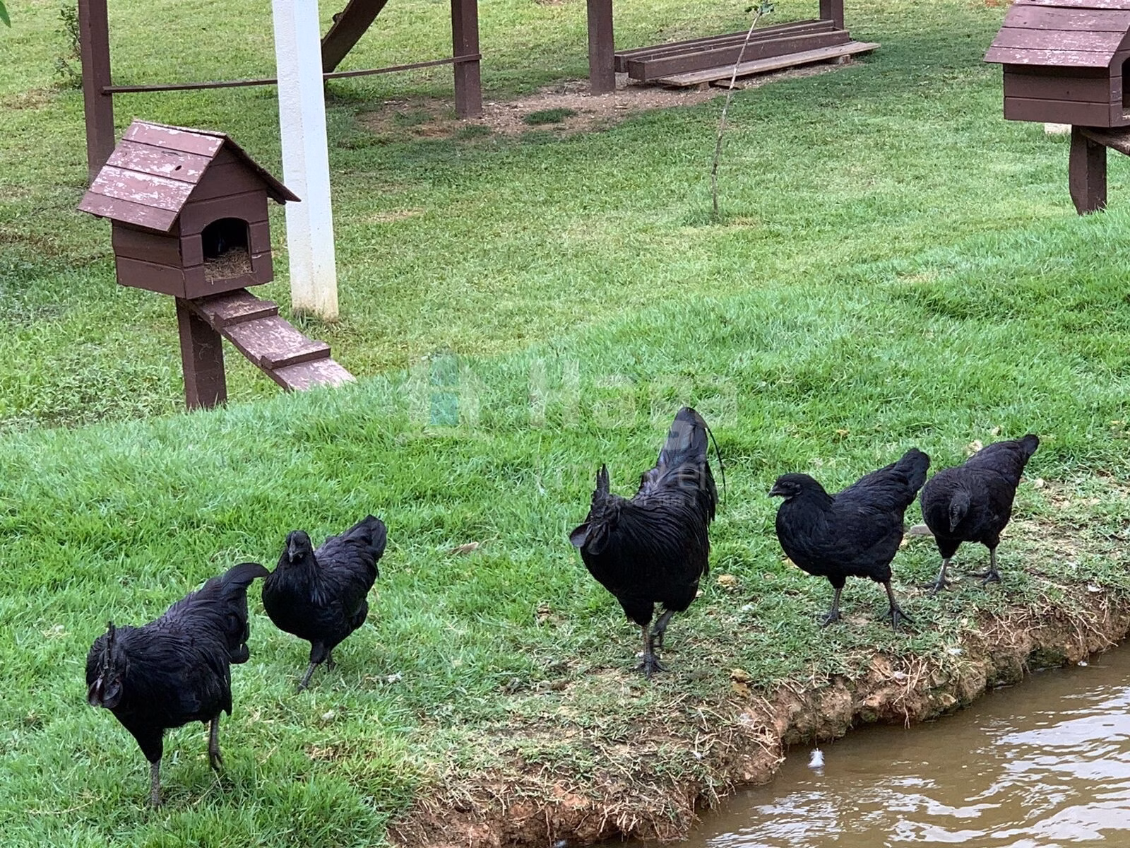 Country home of 4 acres in Major Gercino, SC, Brazil
