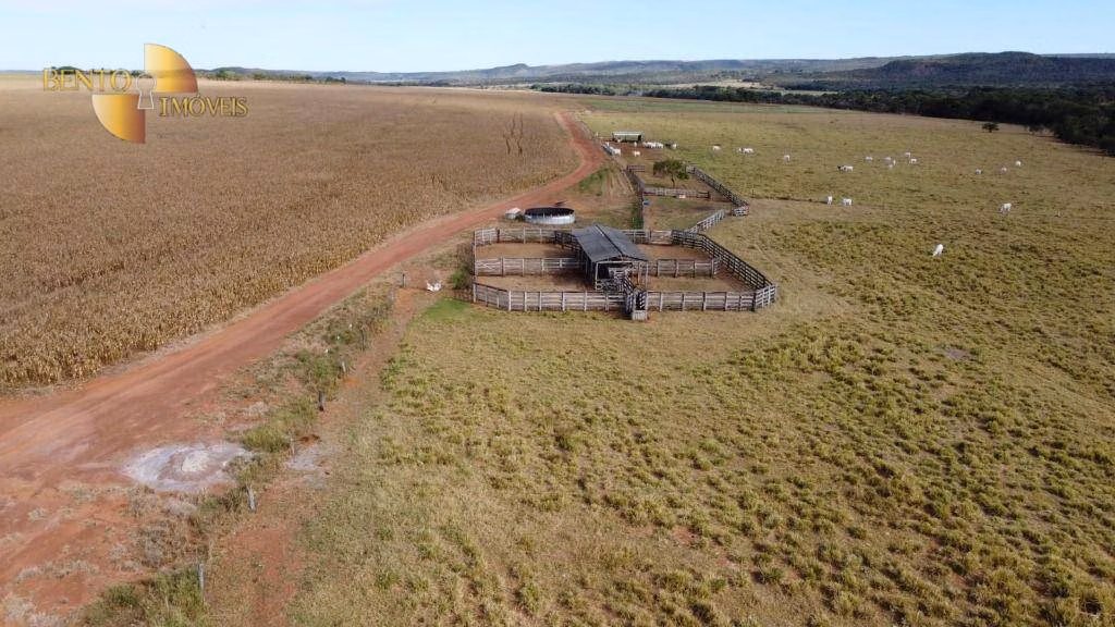 Fazenda de 1.300 ha em Planalto da Serra, MT