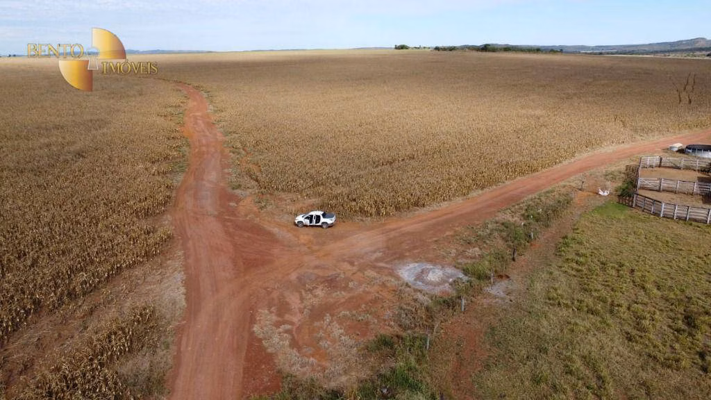 Fazenda de 1.300 ha em Planalto da Serra, MT