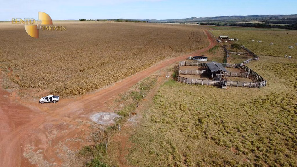 Fazenda de 1.300 ha em Planalto da Serra, MT
