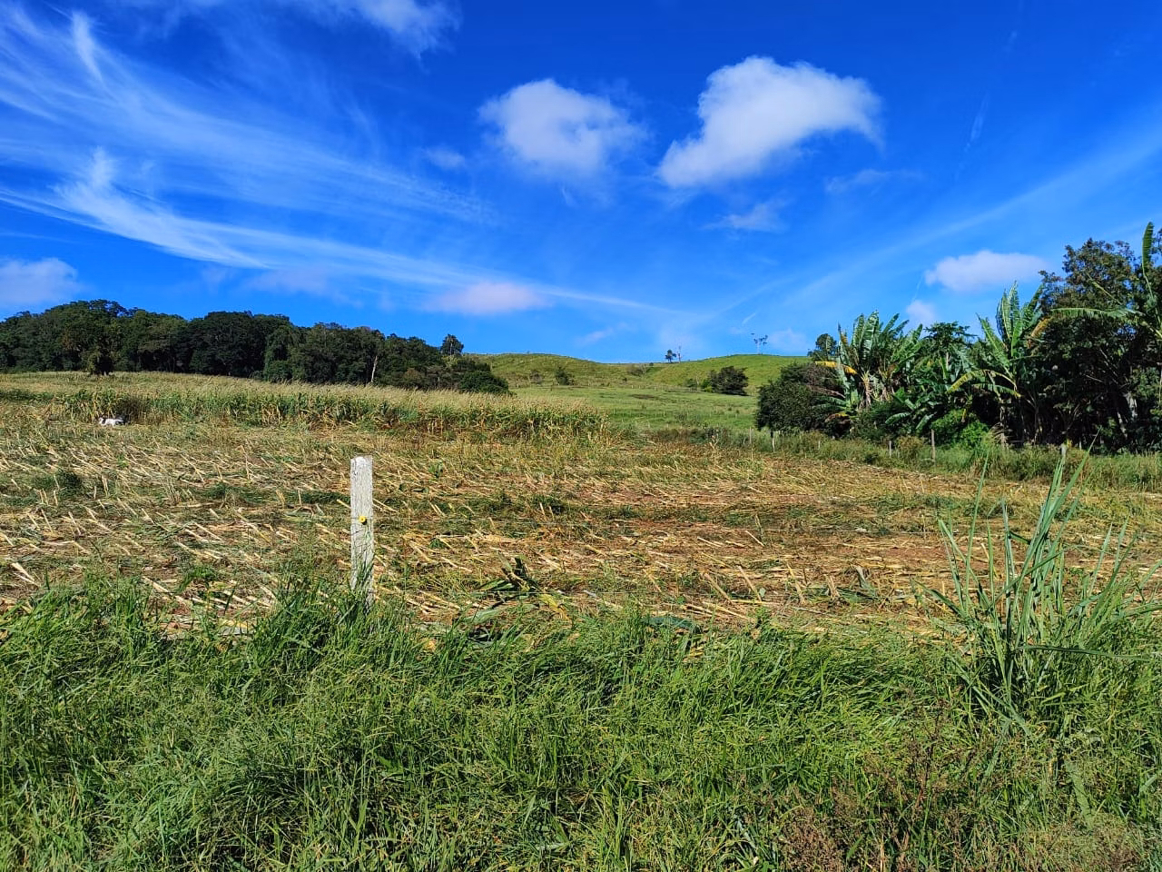 Sítio de 75 ha em Angatuba, SP