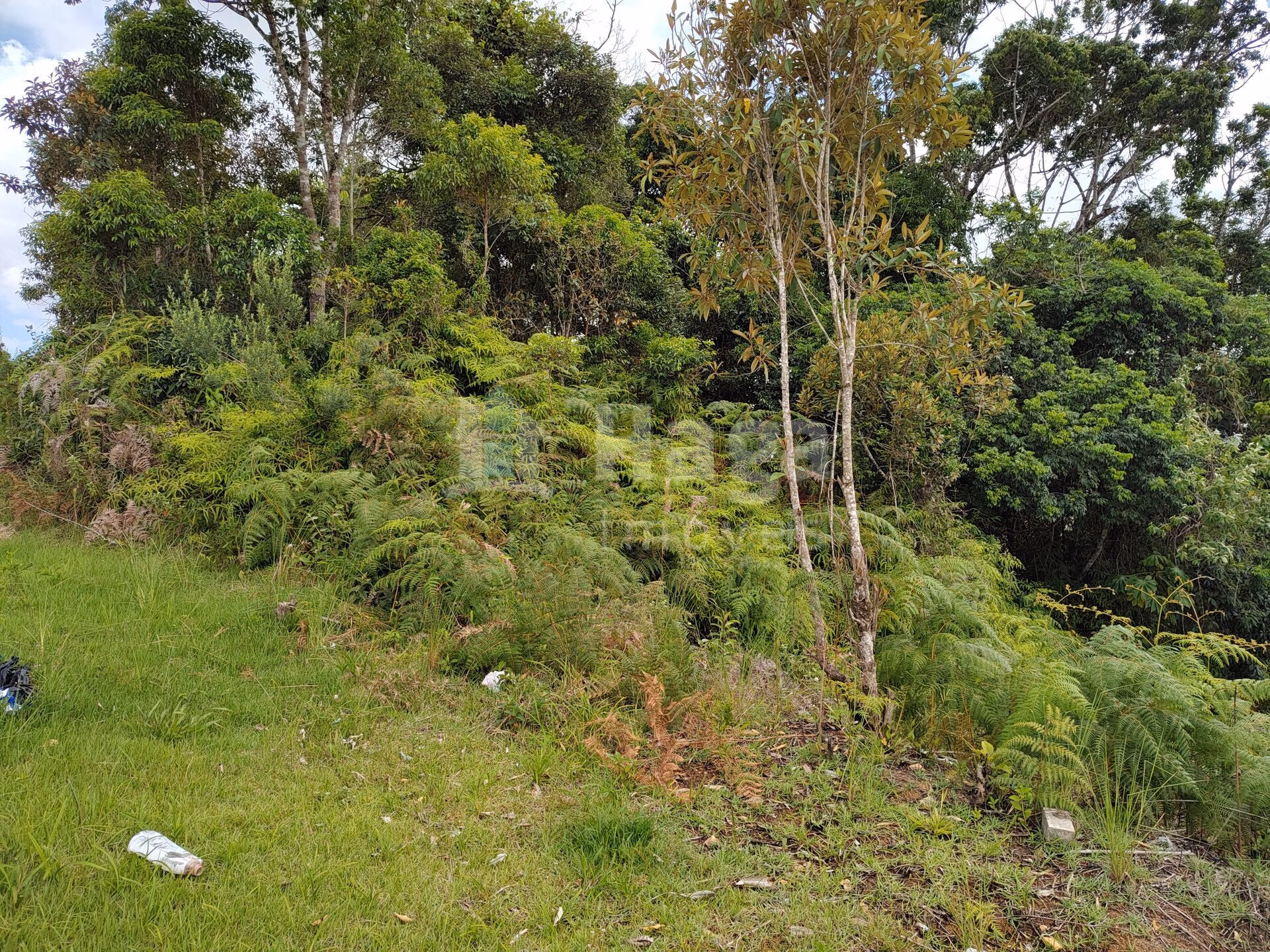 Terreno de 418 m² em Brusque, SC
