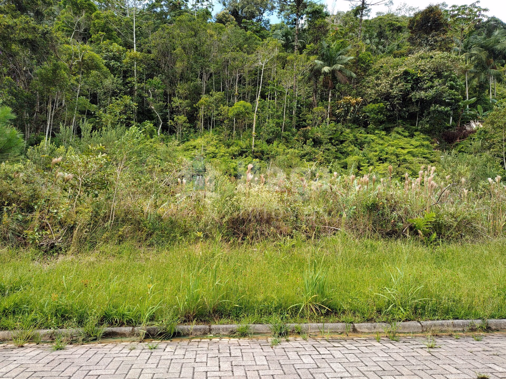Terreno de 418 m² em Brusque, SC