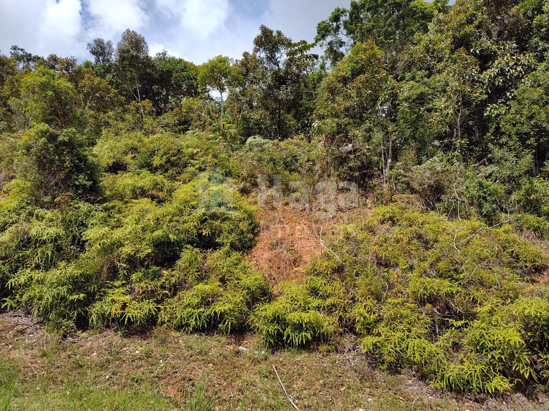 Terreno de 418 m² em Brusque, SC