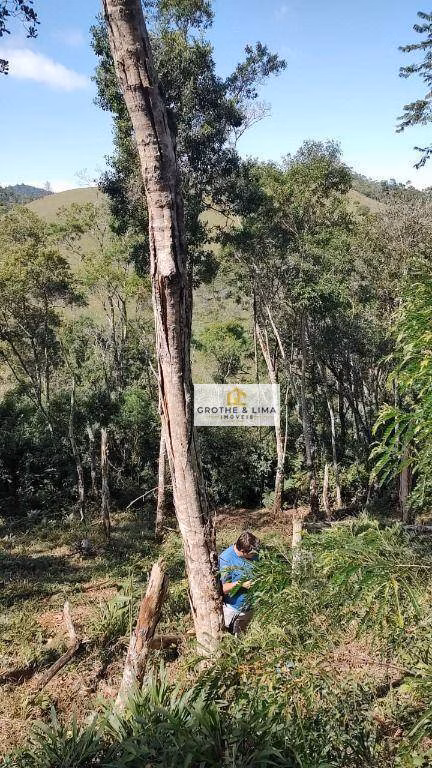 Plot of 6 acres in Natividade da Serra, SP, Brazil