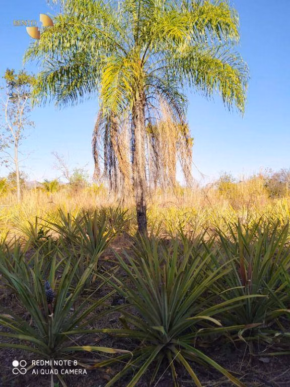 Chácara de 5.000 m² em Chapada dos Guimarães, MT