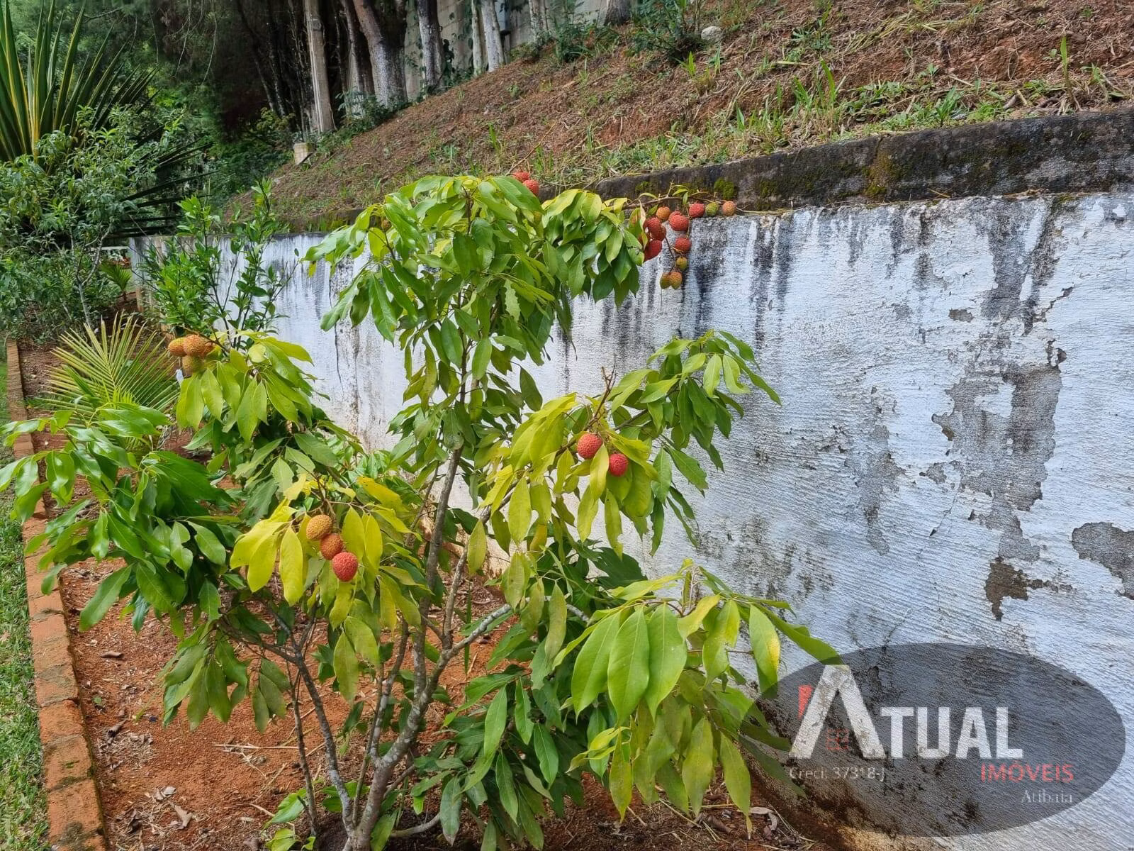 Chácara de 5.000 m² em Atibaia, SP