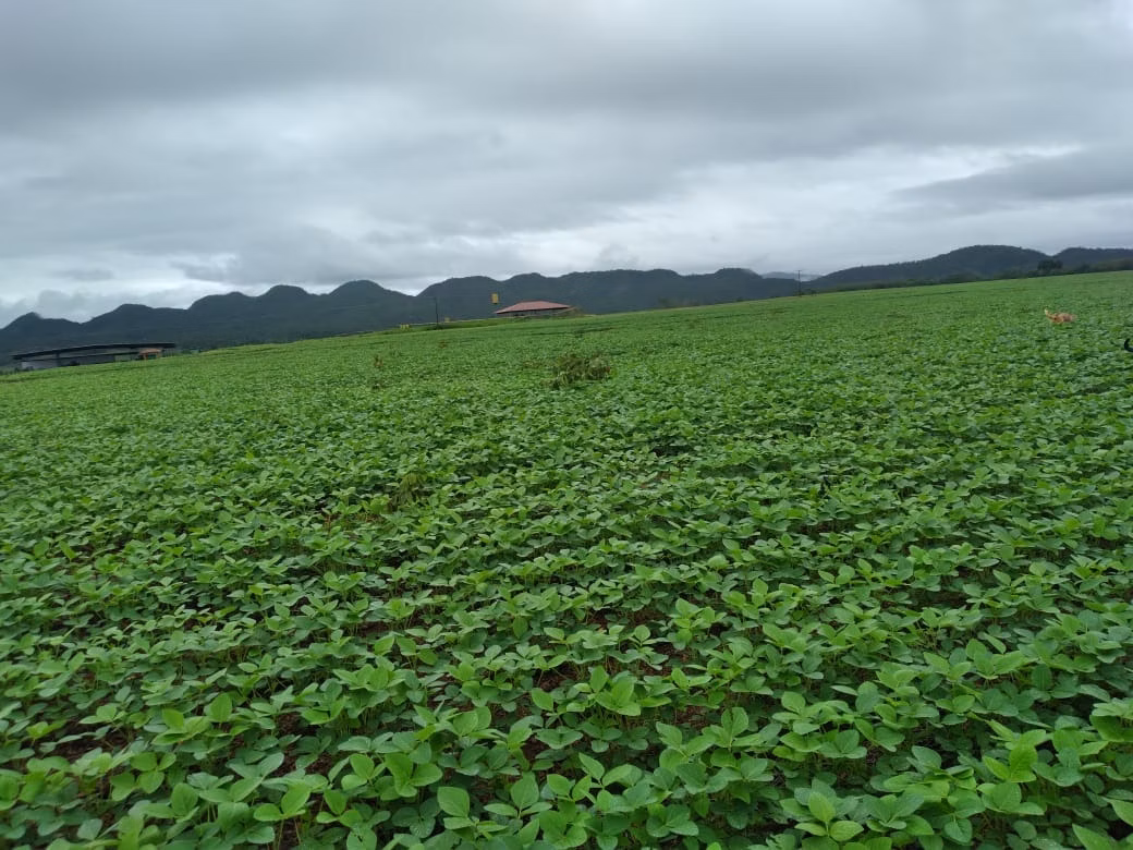 Fazenda de 949 ha em Niquelândia, GO