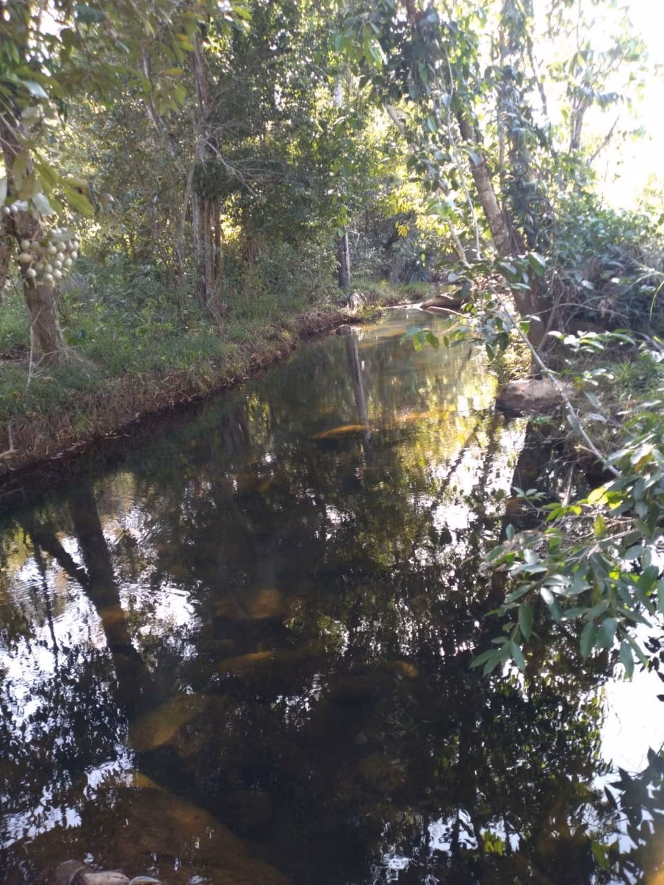 Fazenda de 949 ha em Niquelândia, GO