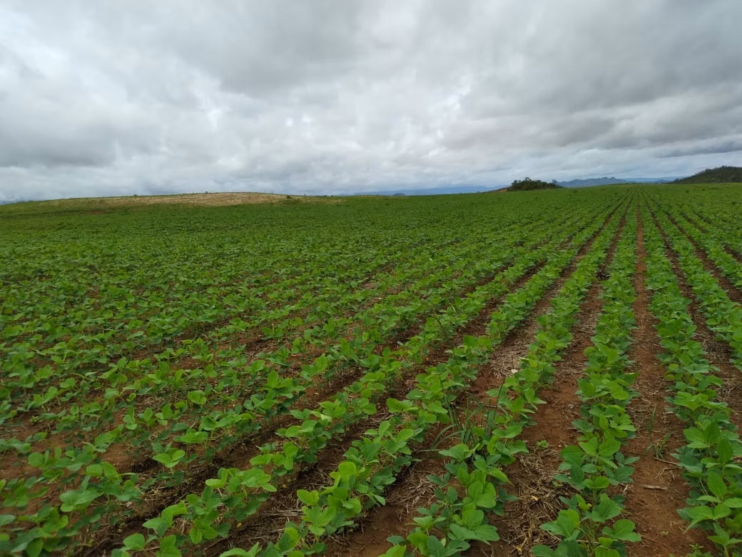 Fazenda de 949 ha em Niquelândia, GO