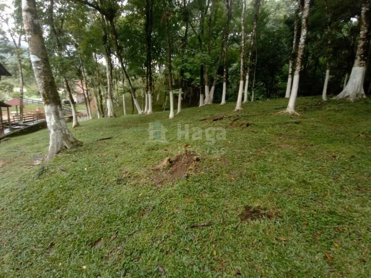Chácara de 2 ha em Rio dos Cedros, SC