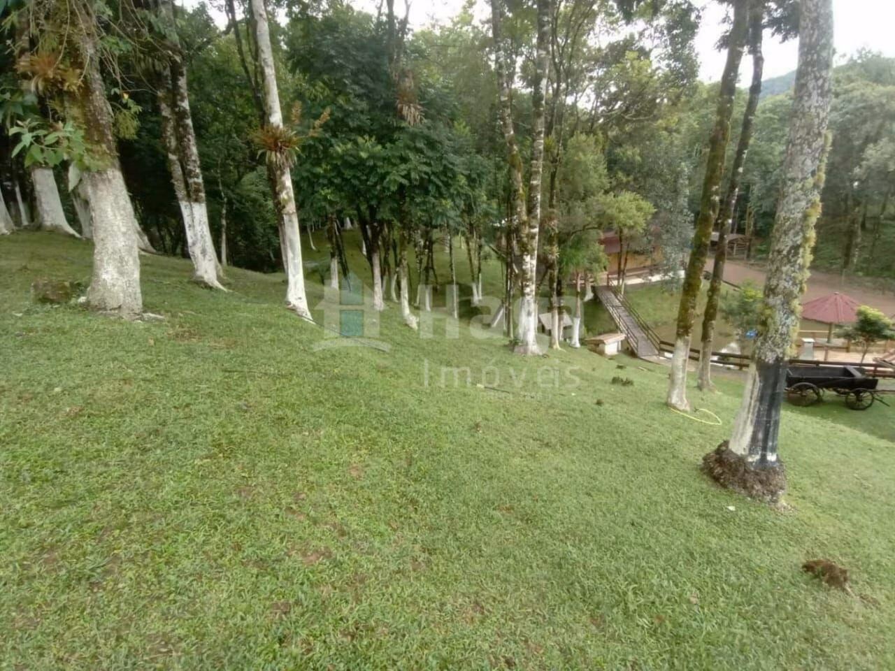 Chácara de 2 ha em Rio dos Cedros, SC