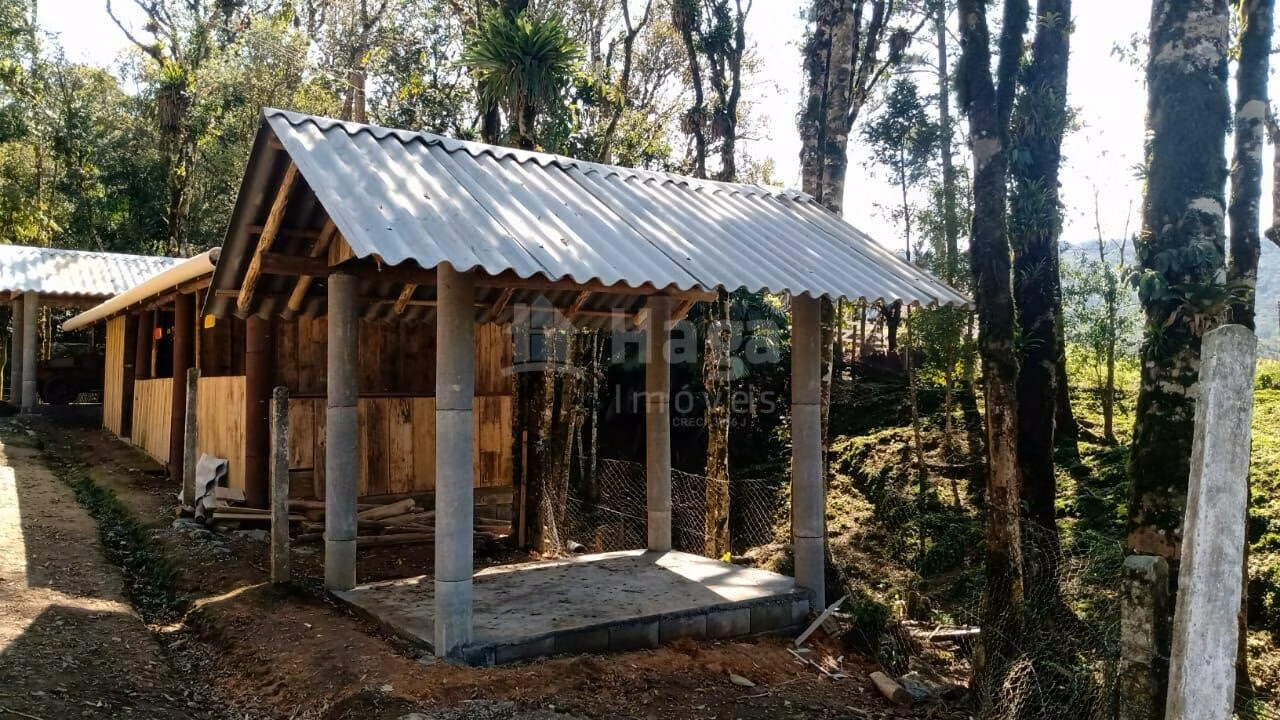 Chácara de 2 ha em Rio dos Cedros, SC