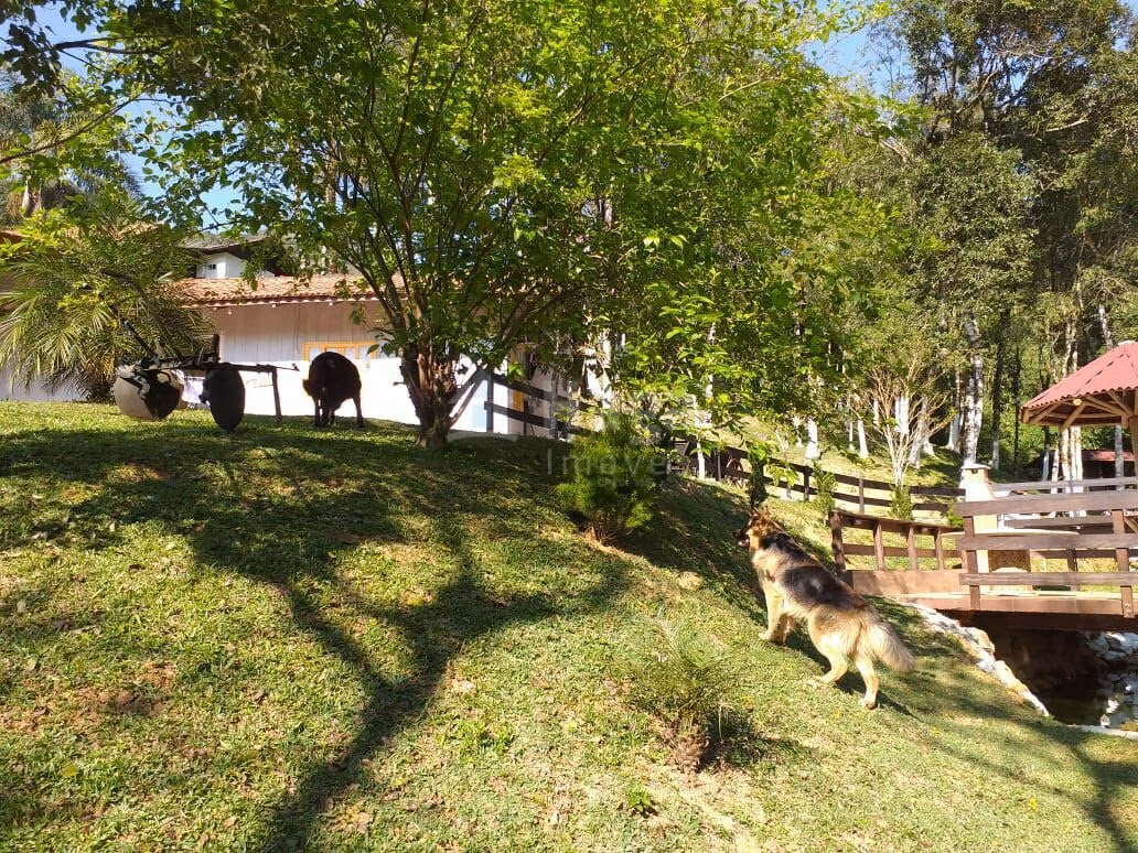 Chácara de 2 ha em Rio dos Cedros, SC